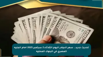 تحديث جديد.. سعر الدولار اليوم الثلاثاء 2 سبتمبر 2025 أمام الجنيه المصري في البنوك المحلية